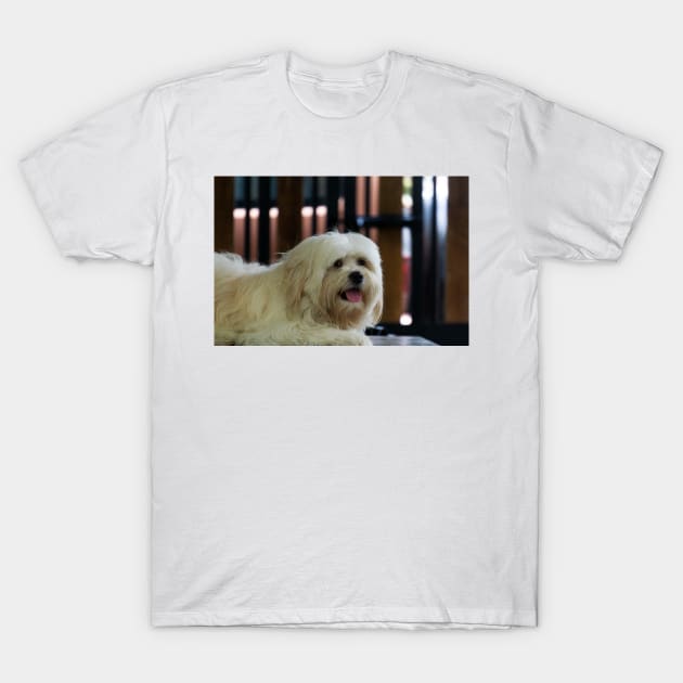 Sophie's Portrait T-Shirt by likbatonboot